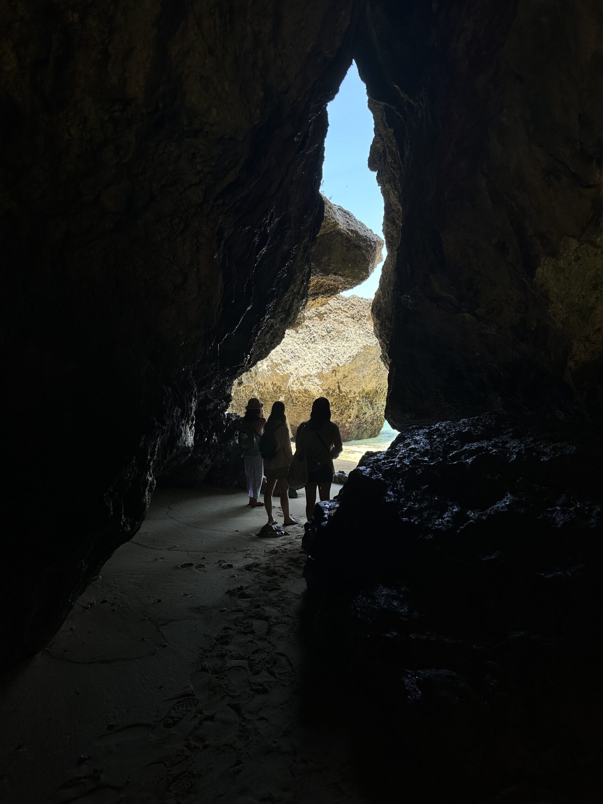 Affen-Überraschung am Uluwatu Tempel