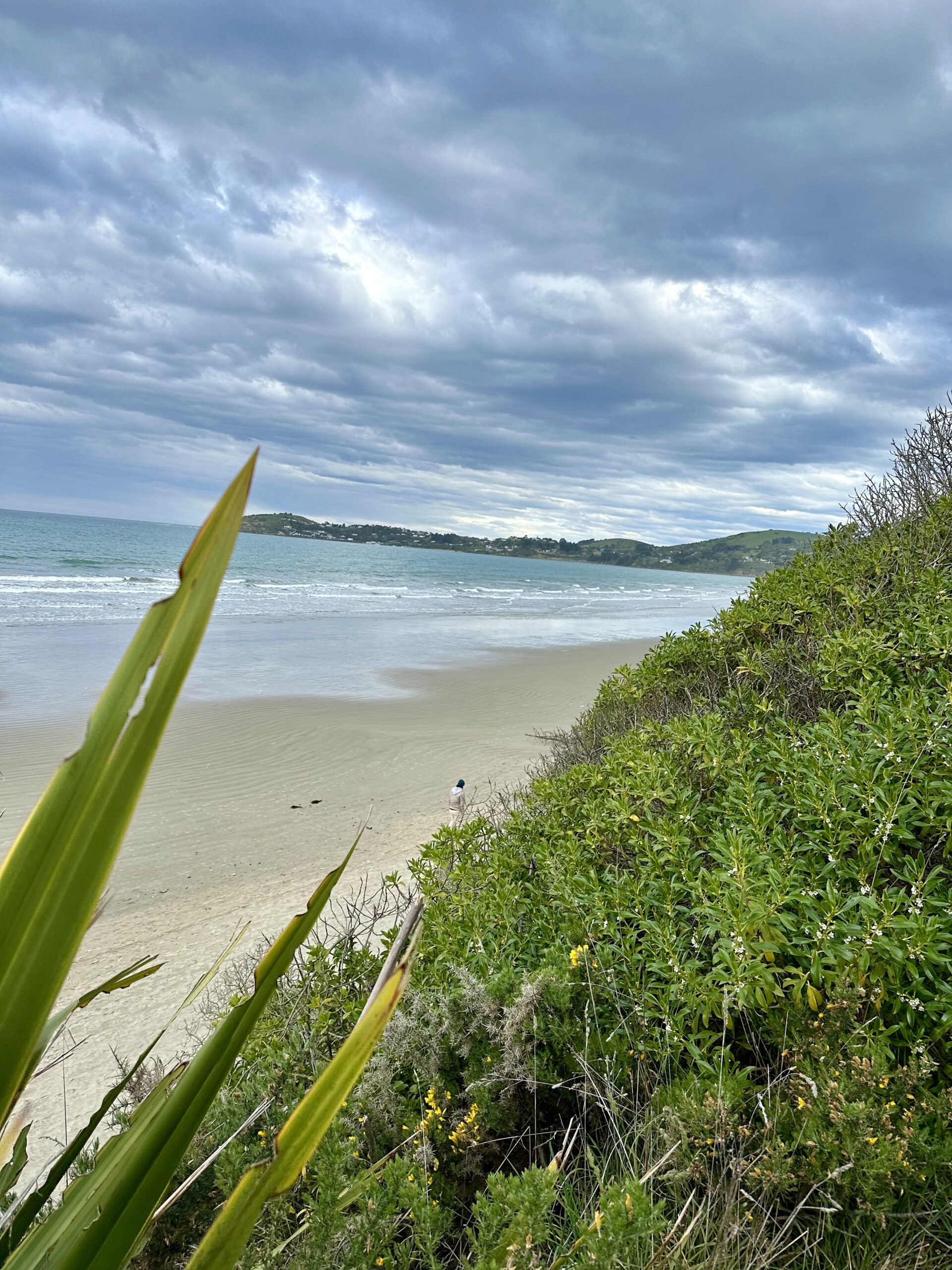 Ein Tag in Oamaru