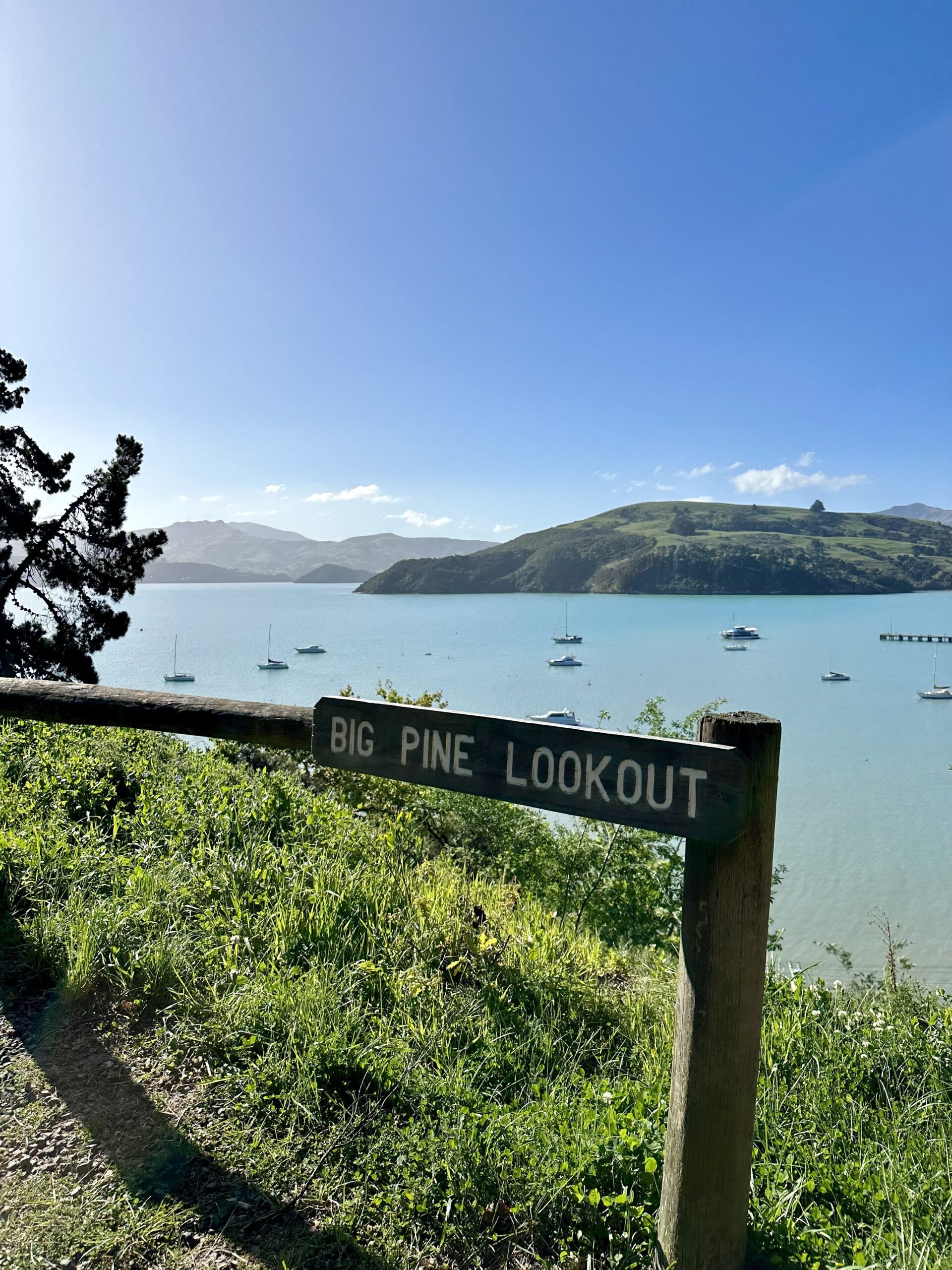 Erster Camper-Tag in Akaroa