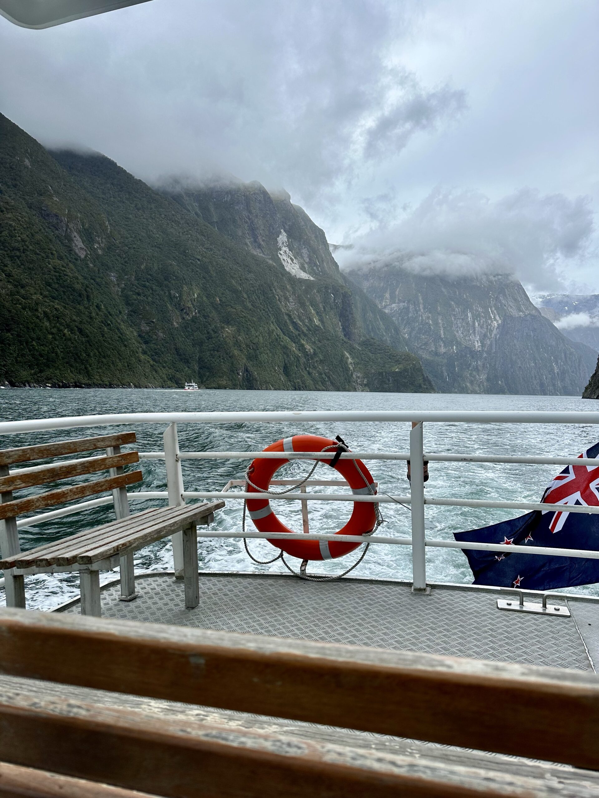 Unser Tag im magischen Milford Sound und die schöne Fahrt dorthin