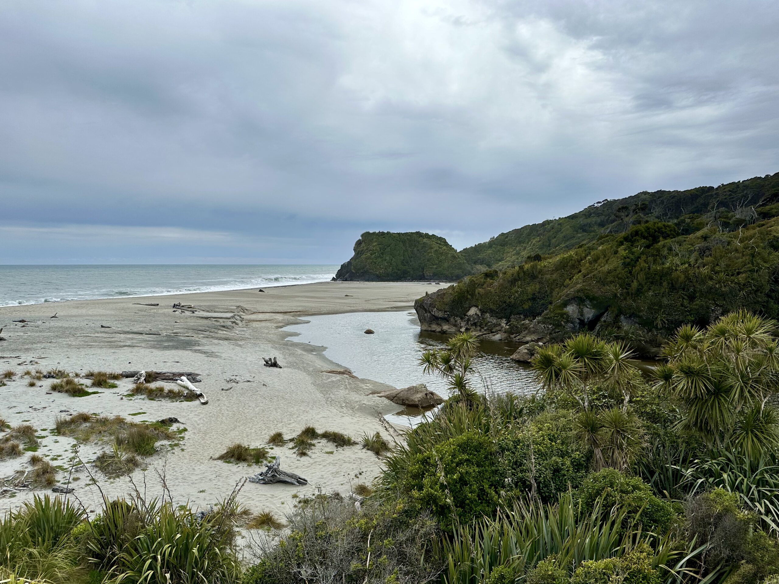 Entspannung und Natur pur: Unser Tag von der Küste bis nach Franz Josef / Waiau