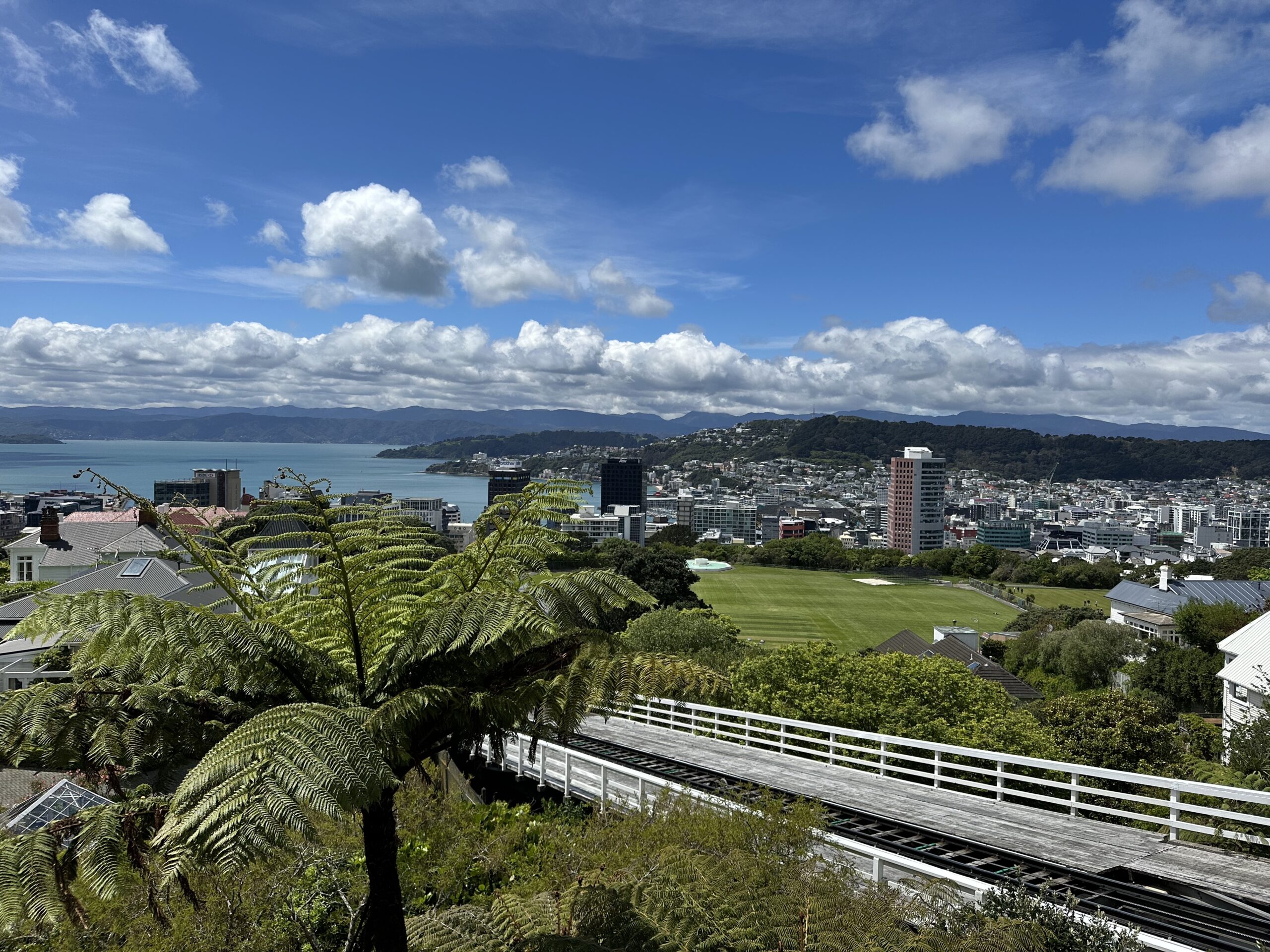 Vom Meer zur Cuba Street: Ein Tag in Wellingtons Herz