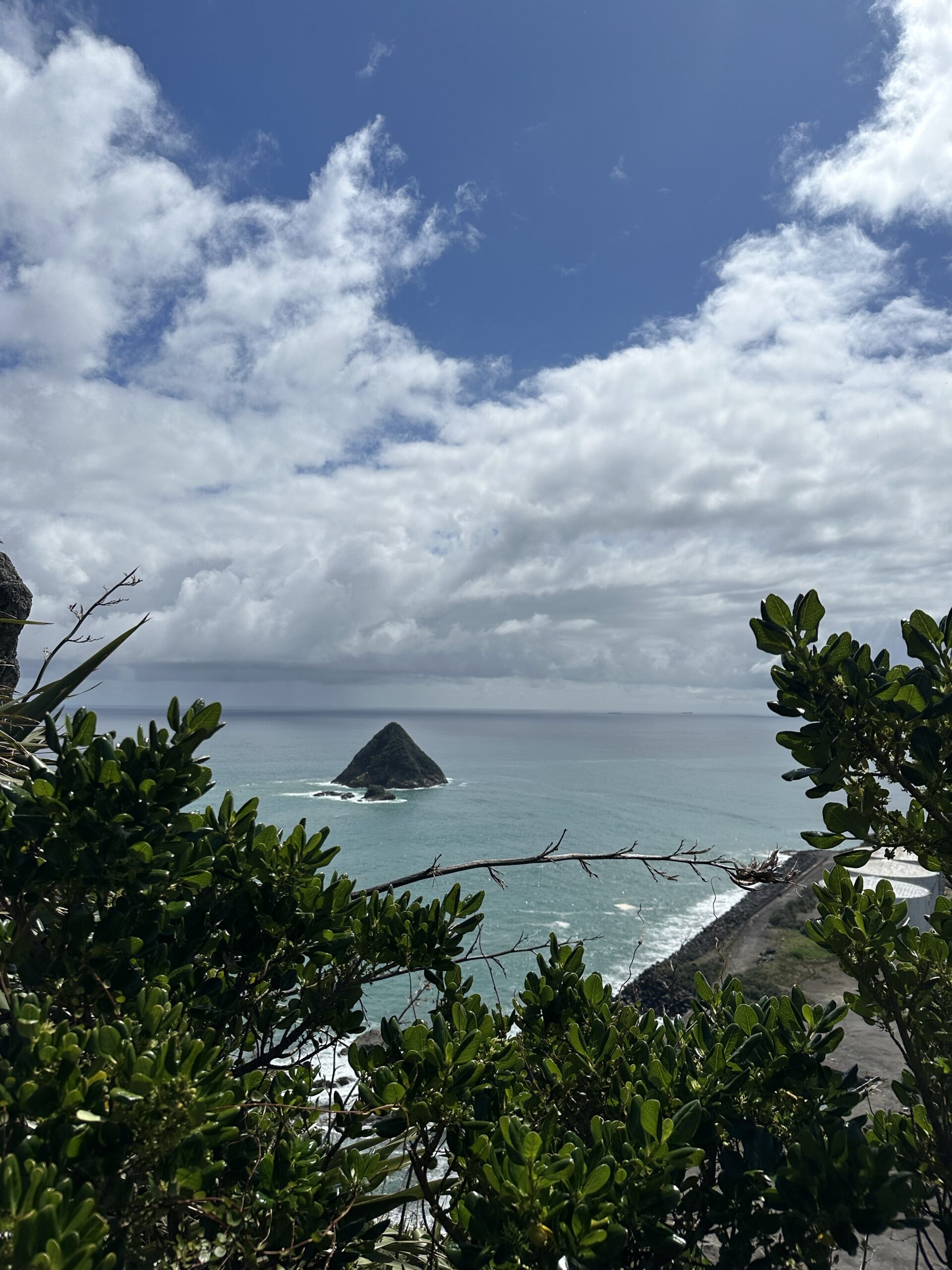 Von Gipfeln und Gärten in New Plymouth