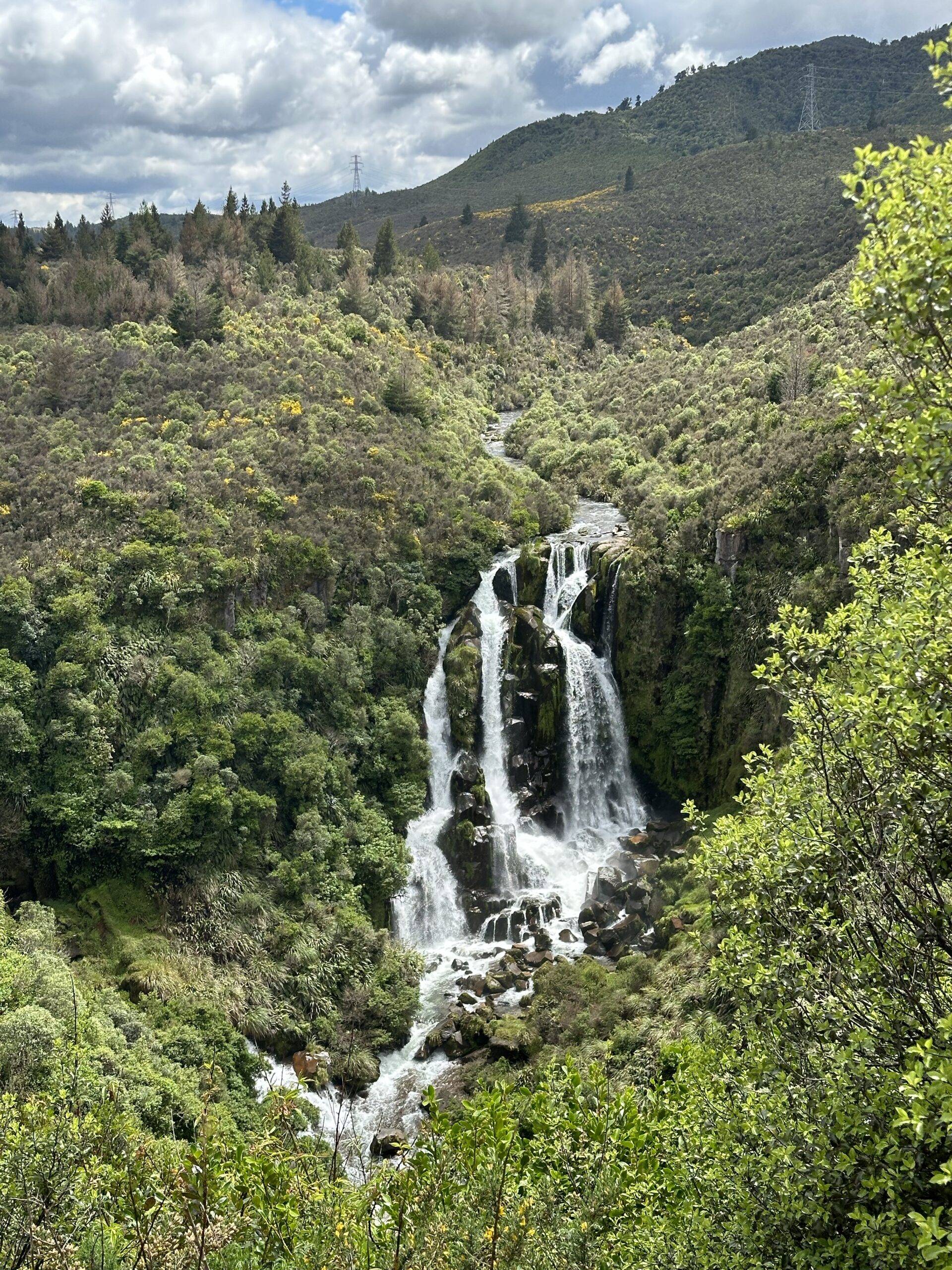 Waipunga Falls ’n Relax in Napier