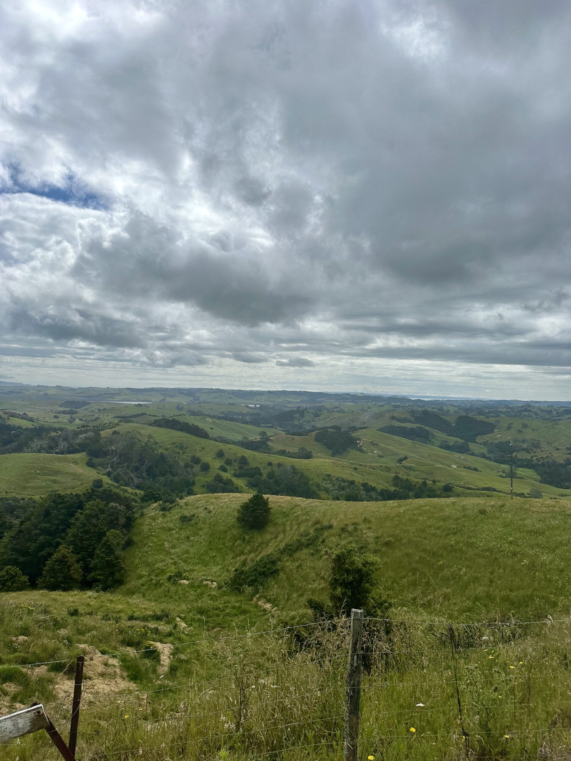 Frühstart, Shopping-Erfolge in Auckland und eine lange Weiterfahrt