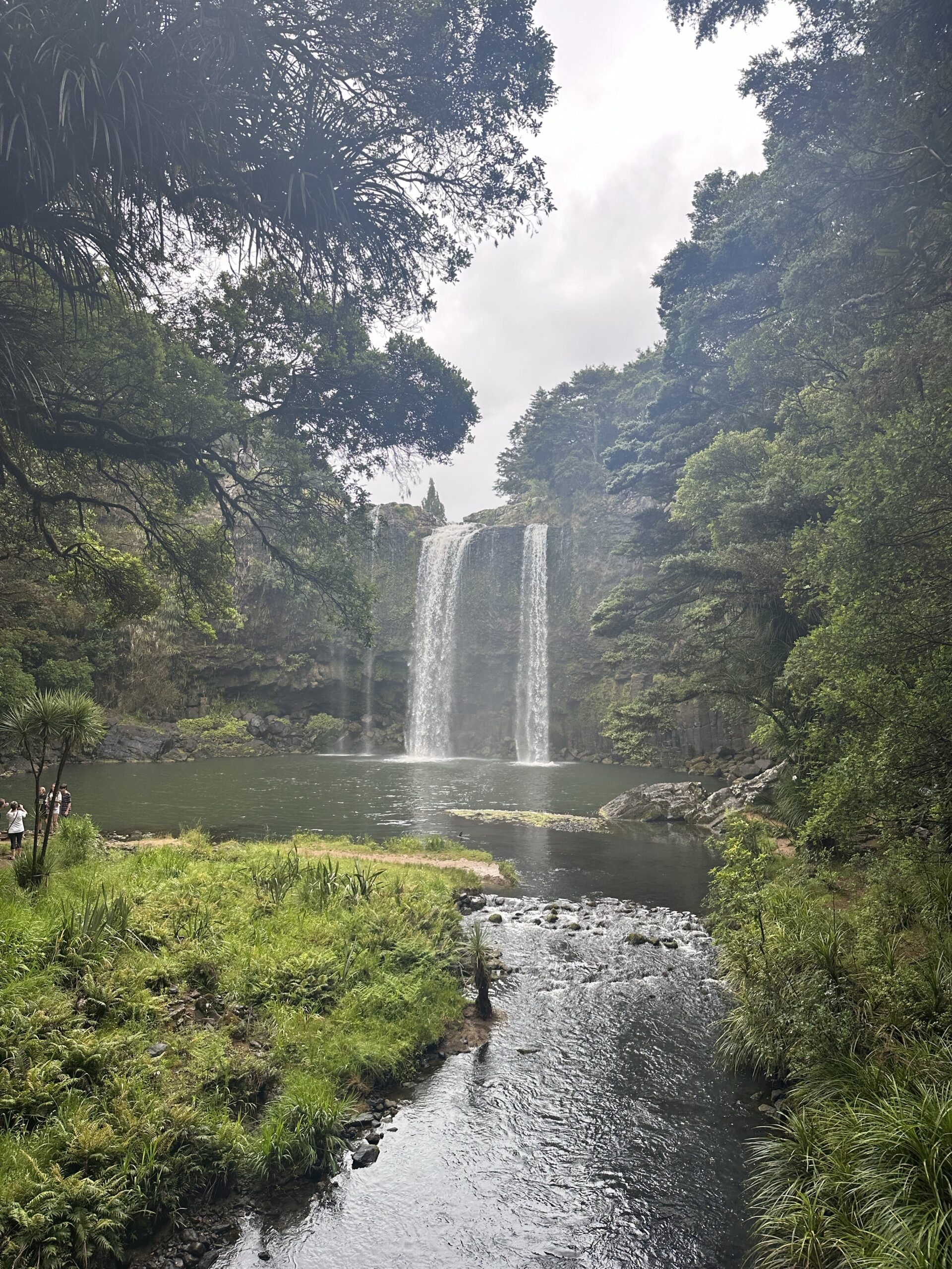 Whangarei Falls und Kai Iwi