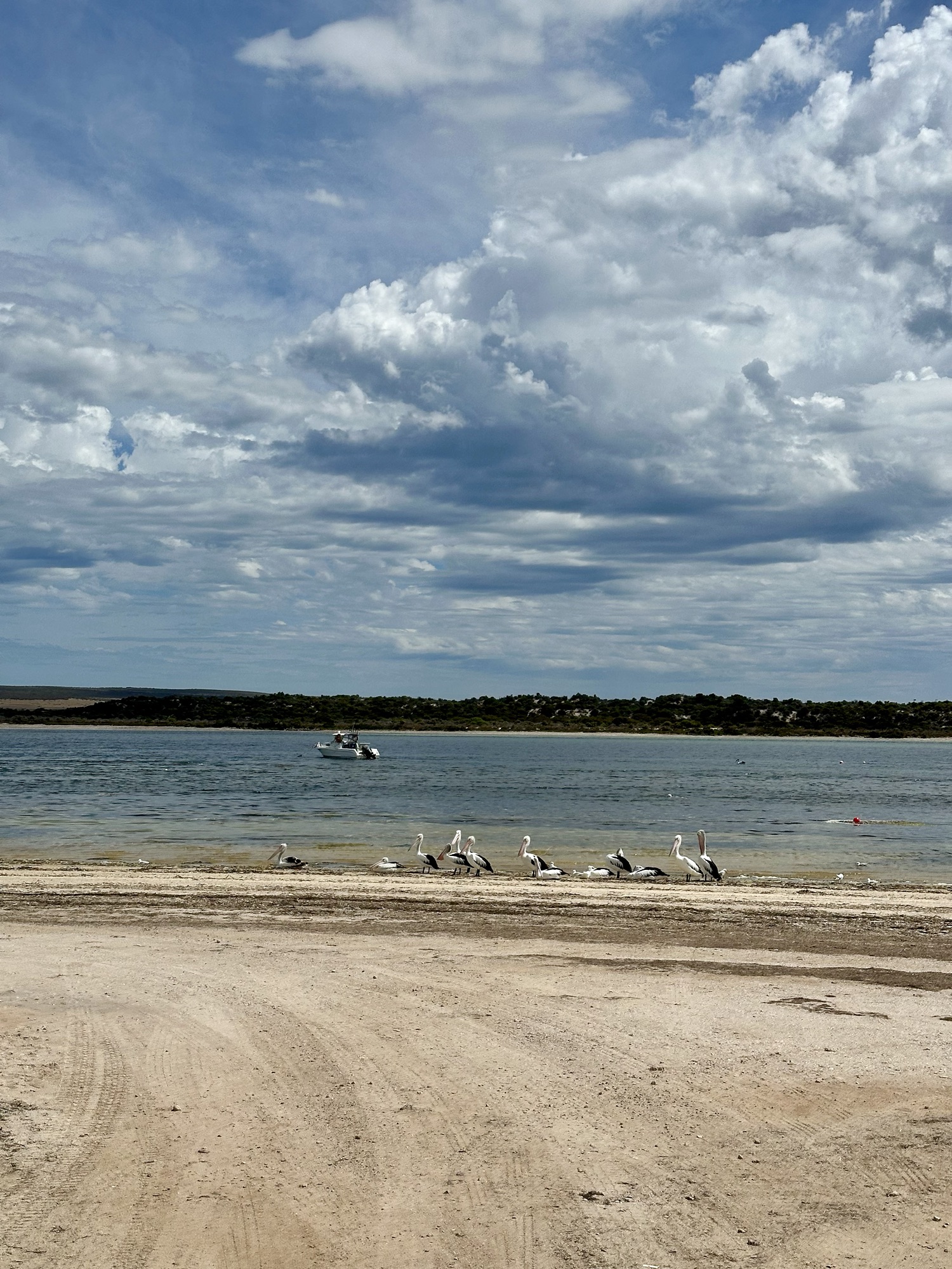 Von Strand zu Strand