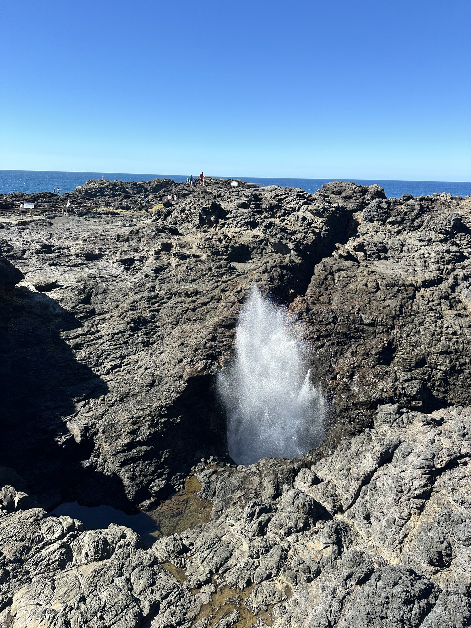 Ein entspannter Tag in Kiama: Blowhole, Leuchtturm und Strandgenuss