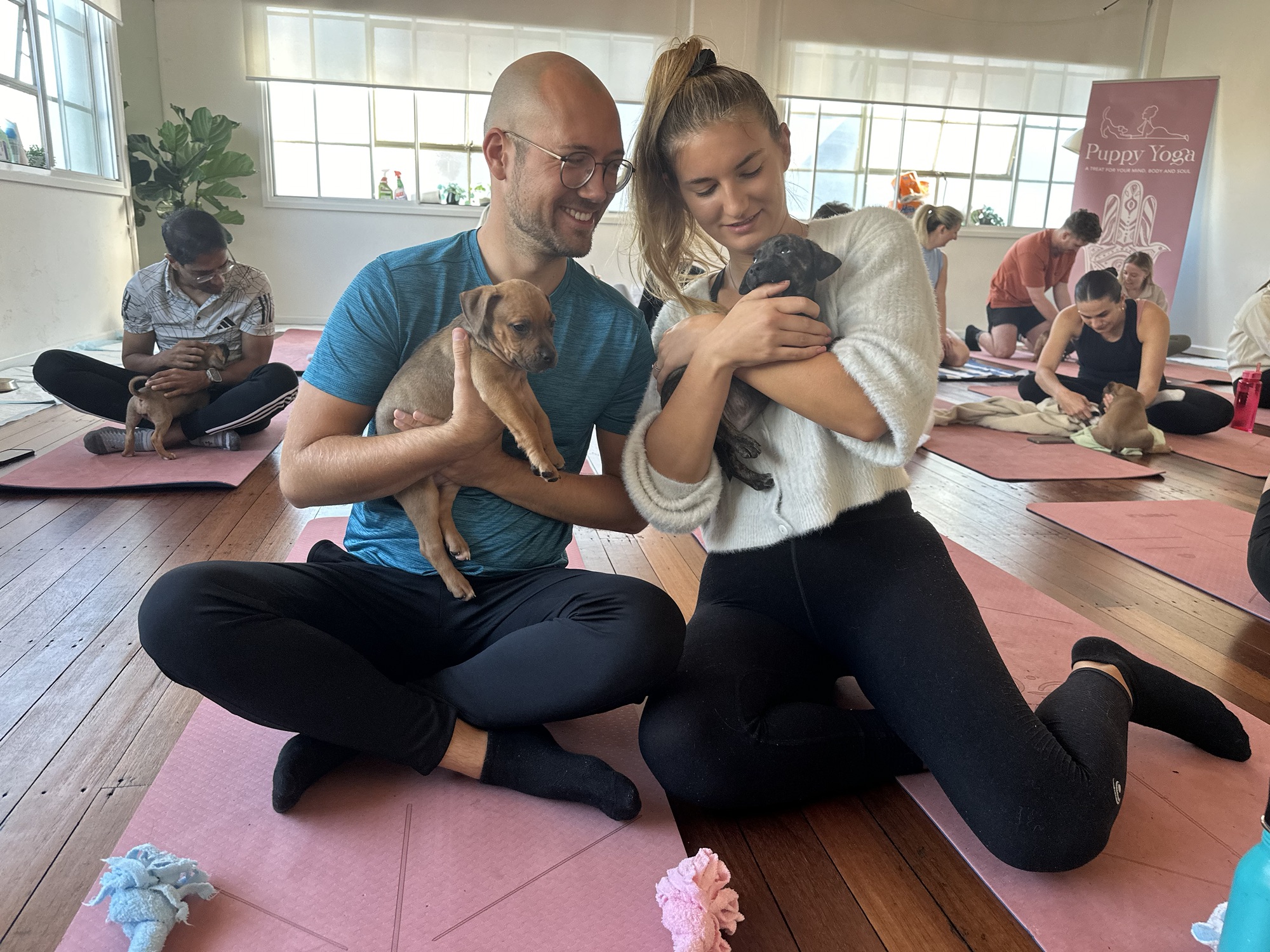 Puppy Yoga, Märkte und Sonnenuntergänge: Ein Tag in Sydney