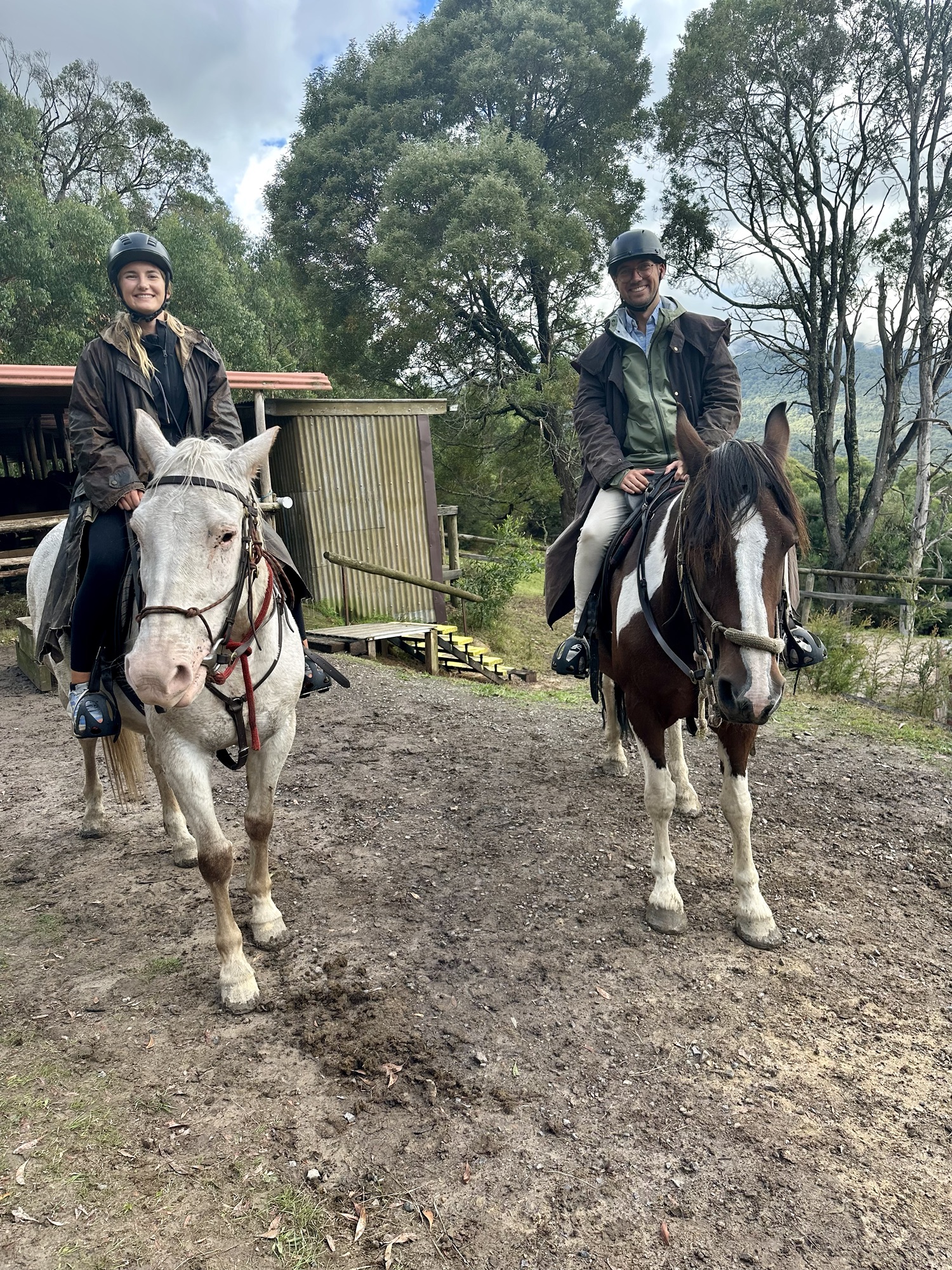 Sterne, Pferde und Pralinen: Ein Tag im Yarra Valley