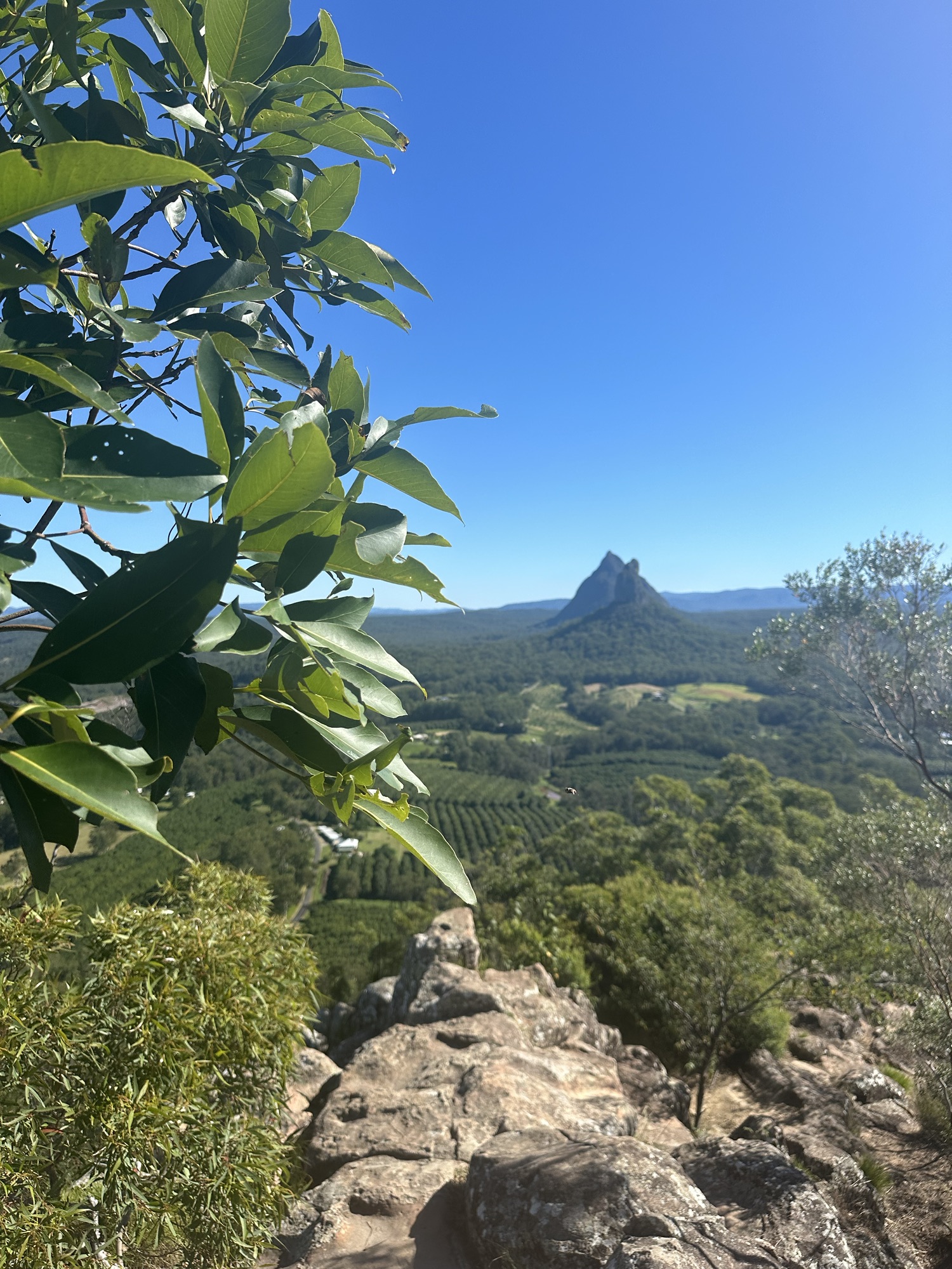 Ein Tag bei den Glass House Mountains und auf der Suche nach dem Schnabeltier