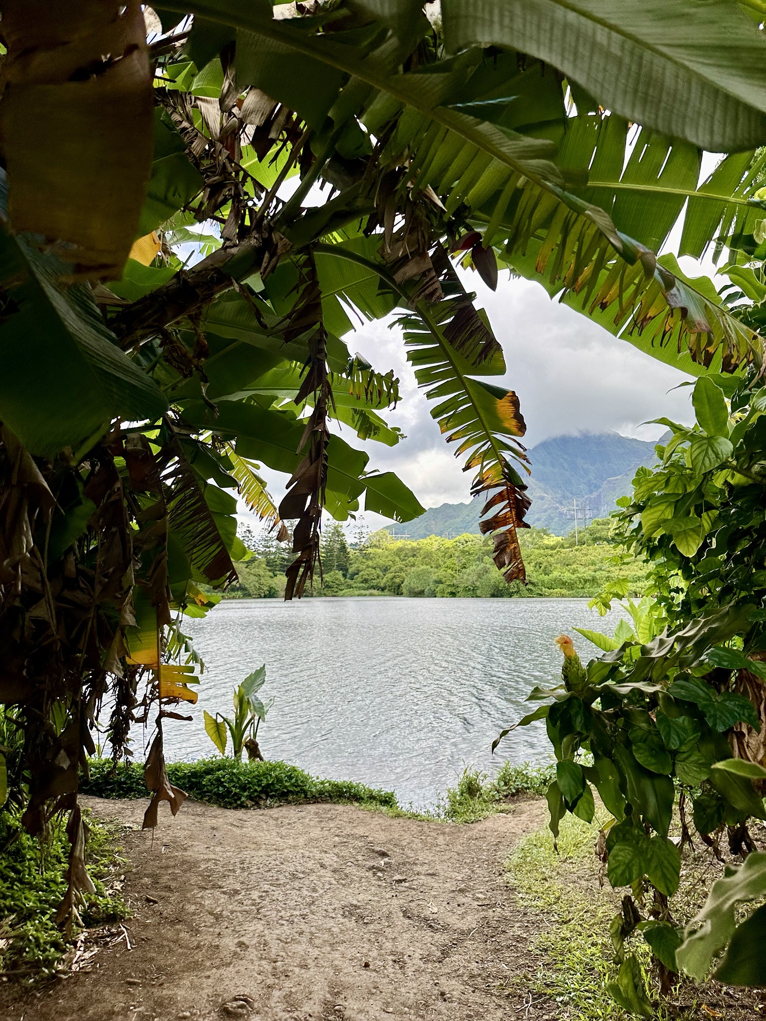 Abenteuer auf Oahu: Unsere letzten Tage auf der Insel