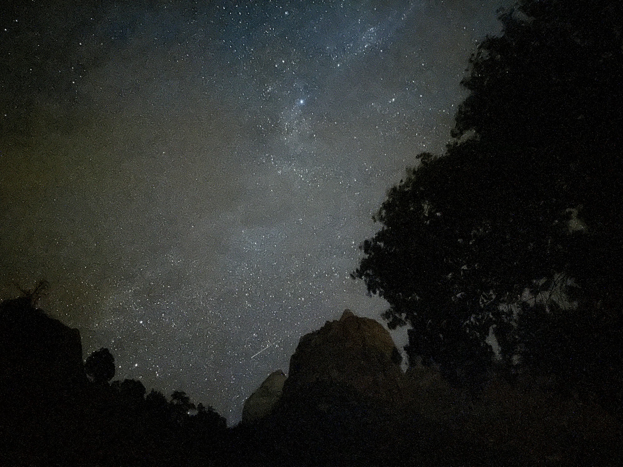 Erlebnisreiche Wanderungen im Zion National Park