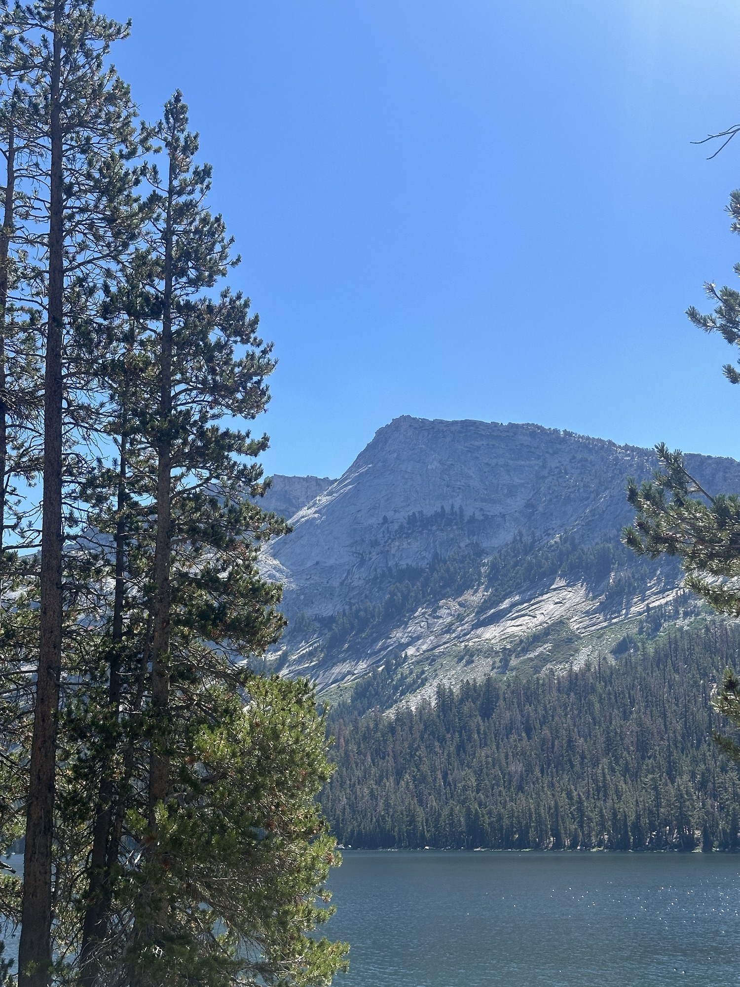 Von Bergabenteuern bis Stadtentdeckungen: Unsere Reise von Lake Tahoe nach San Francisco