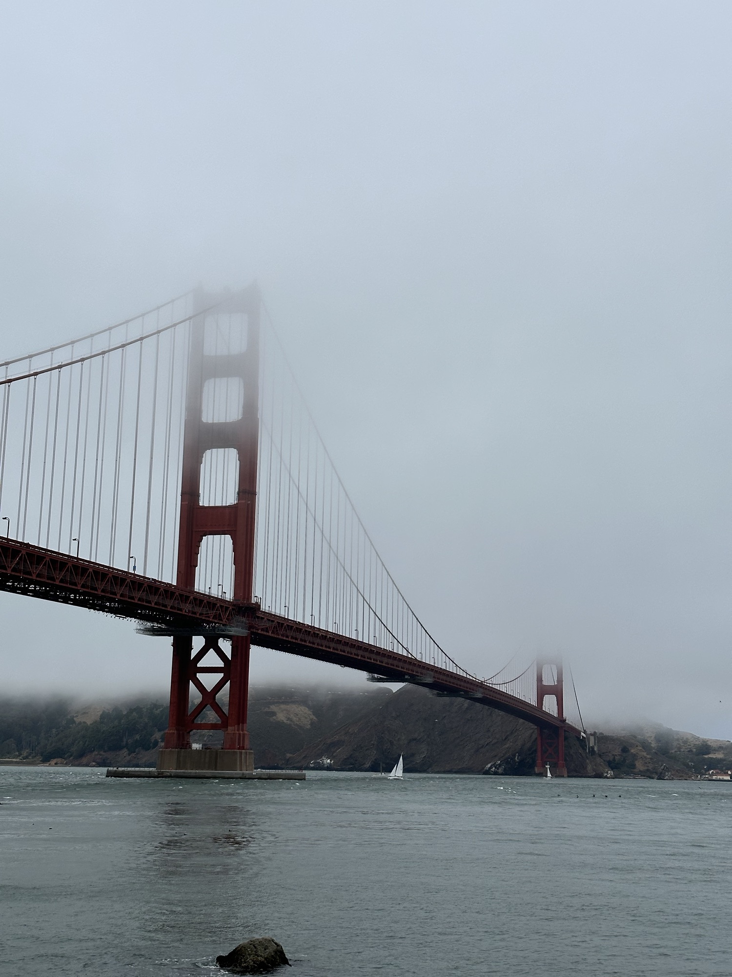 Ein Tag auf zwei Rädern: Seelöwen und Brückenabenteuer in San Francisco